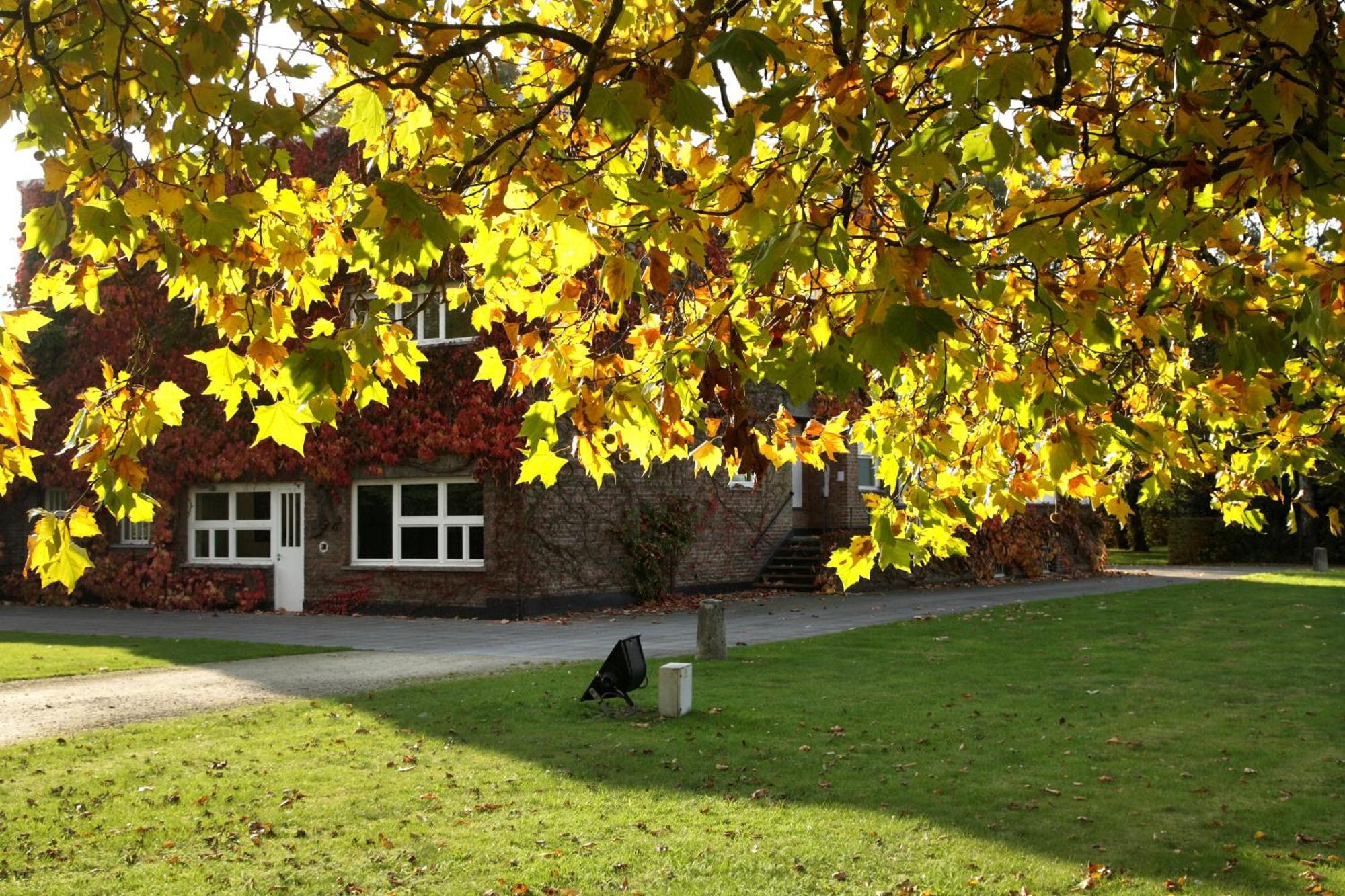 B&B Lievejan Jabbeke  Exterior foto